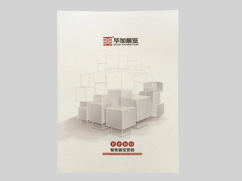 畢加展覽畫冊